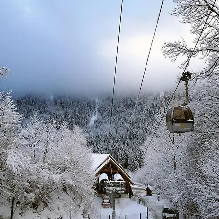L'aiguille